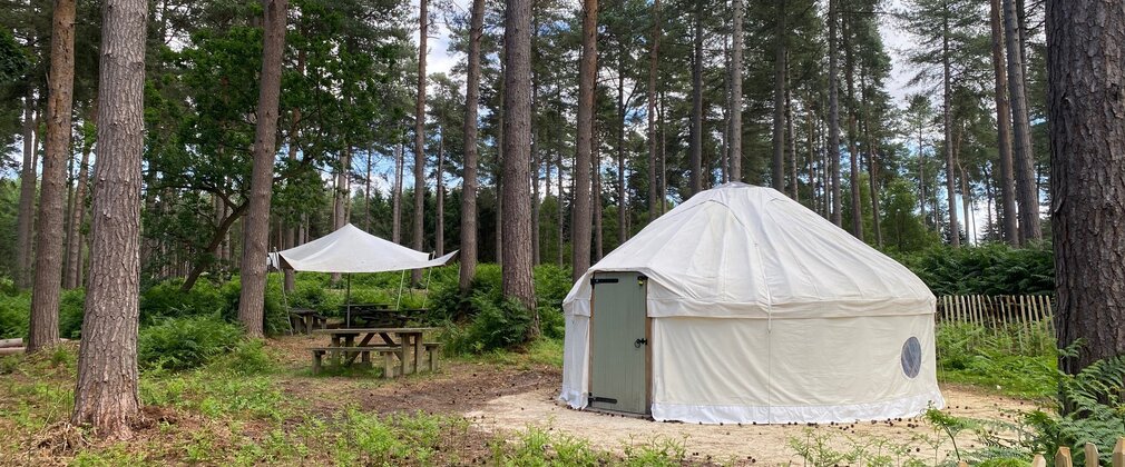 A yurt and stretch tent in a forest