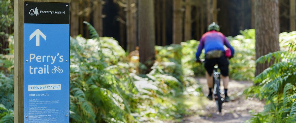 Man on cycle trail