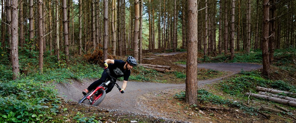 cyclist in the forest