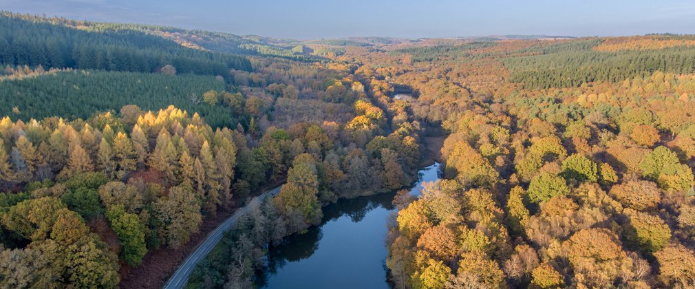 A drone image taken above Cannop Ponds