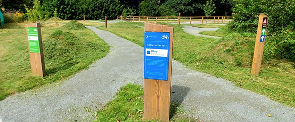 Delamere Forest bike skills loop 