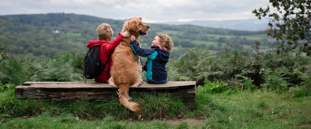 A boy and a girl sitting on a bench with a golden retriever