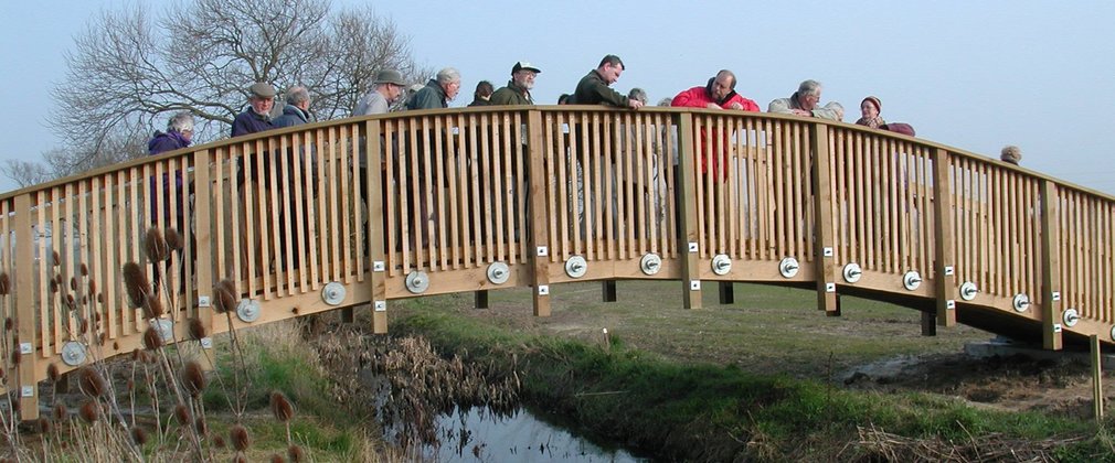 Community on bridge over small stream in woodland