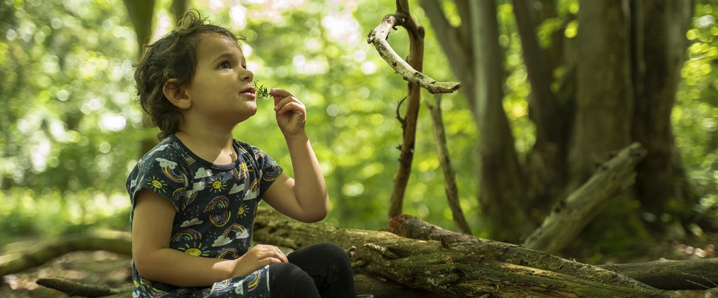 Toddler exploring the forest 