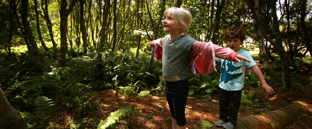 Children climbing on tree and playing 