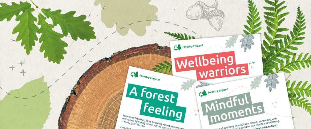 Graphic artwork banner showing different leaves, a log slice and example worksheets