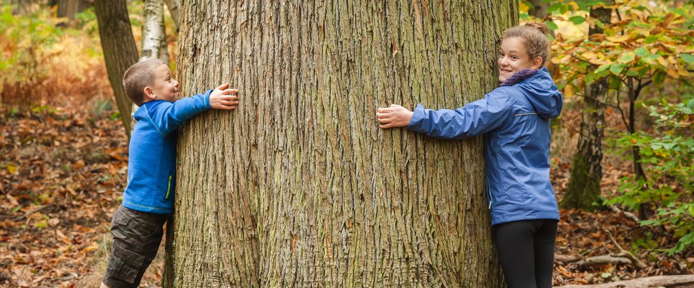 Two children hug a large tree trunk.