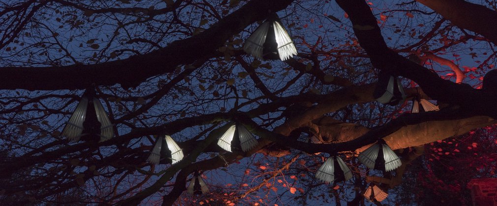 Chirp and Drift art in the trees