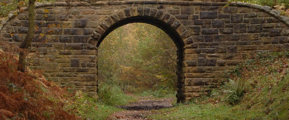 Small bridge with a forest path running under it