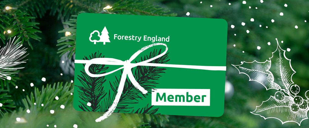 Christmas membership giftcard