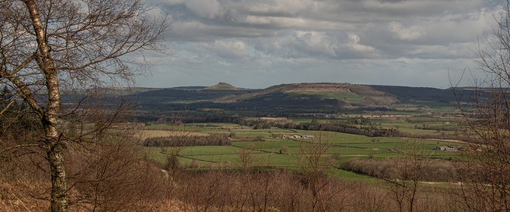 A view of arable land with Roseberry Topping in the skyline