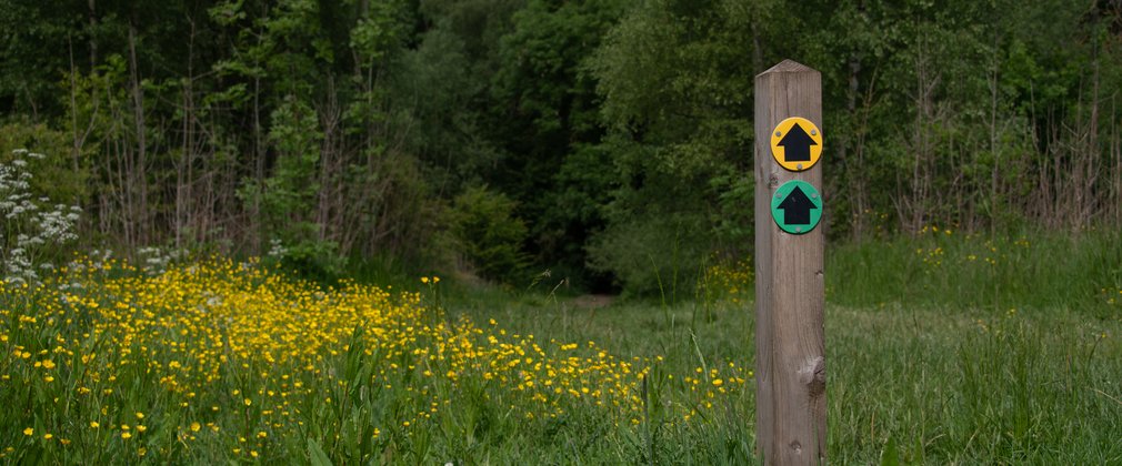 A waymarker post with two arrows on in front of a forest backdrop. The top arrow is black with a yellow circle background. The bottom arrow is black with a green circle background.