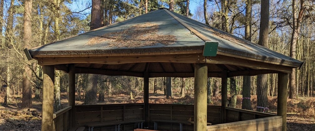 A roofed shelter in the woods being benches running around the inside edge.