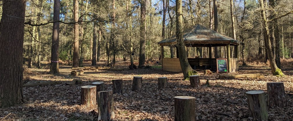 A roofed shelter in the woodland with log stools in the foreground