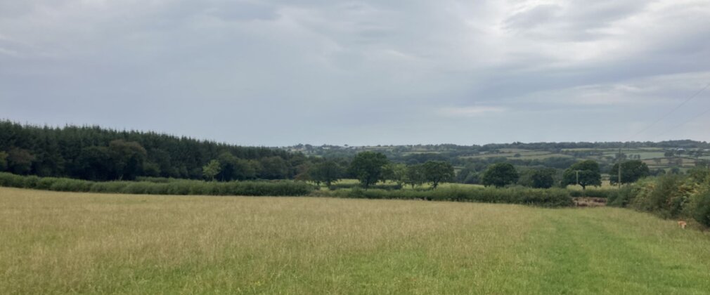 Grassland meadow and distant woodland under a cloudy sky.