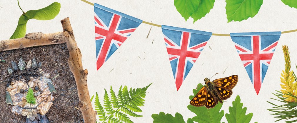 Graphic featuring leaves, Union Jack bunting, a butterfly and some woodland art.