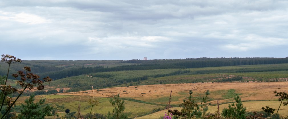 A view of arable land and moorland with forest flowers below