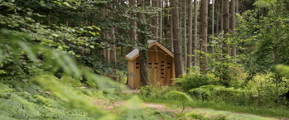 The wood structure in which the Custody Code film is exhibited.