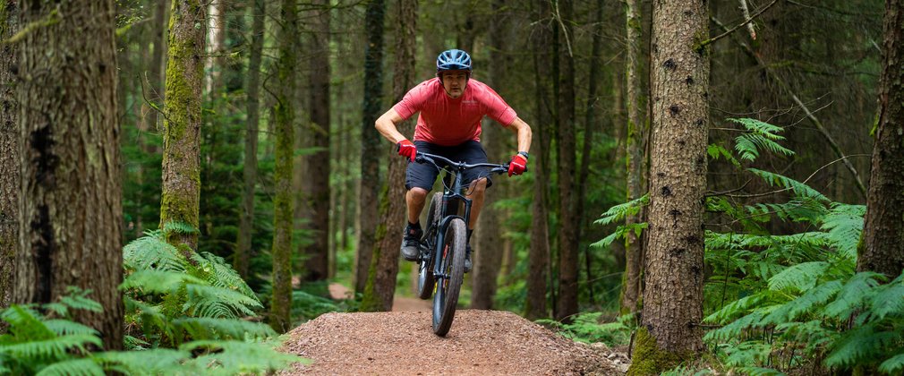 Man on mountain bike in a forest