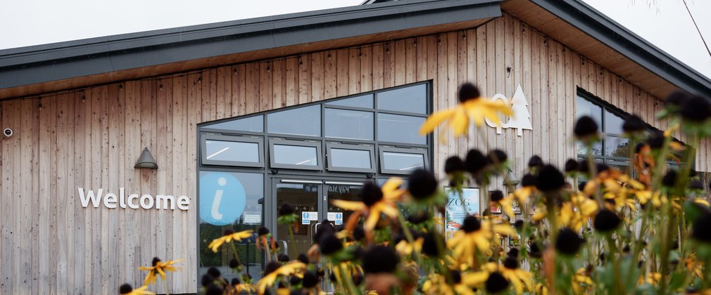 Delamere Forest visitor centre with yellow flowers in the foreground. 