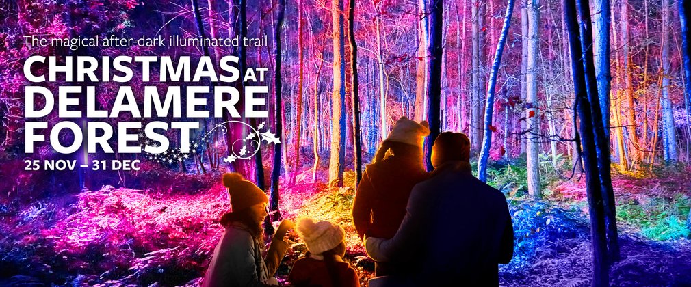 A family enjoying the illuminations and scenery at Christmas at Delamere Forest
