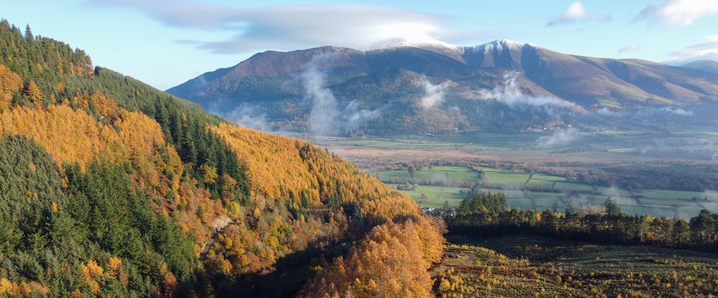 A drone shot of an autumn forest scen with a snow topped mountain behind