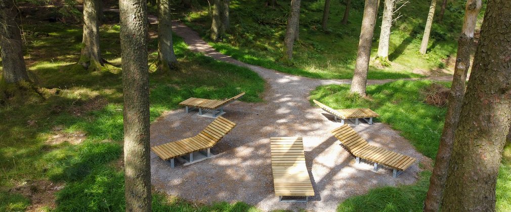 Five forest loungers in a woodland clearing