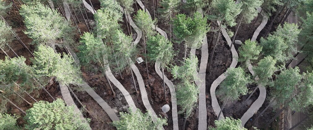 An overhead view of the pedal and play at Sherwood Pines showing the cycle tracks through the trees