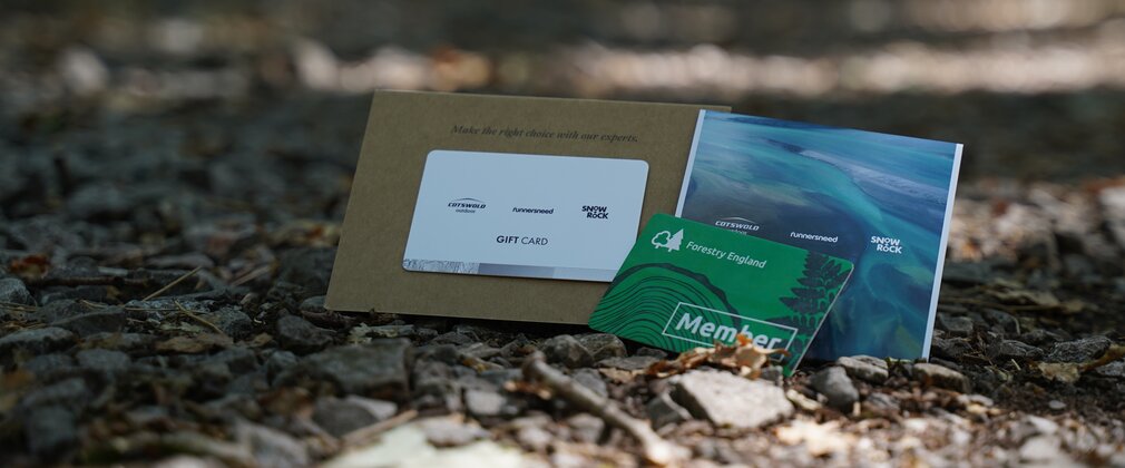 Gift card for Runners Need and Forestry England membership card displayed on a gravel forest path, with a brochure behind them and a softly blurred woodland background.