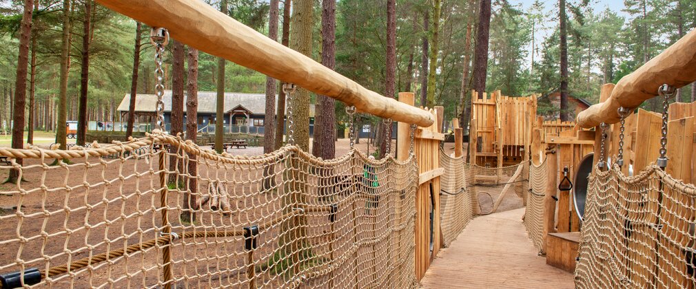 Walkway in forest play area