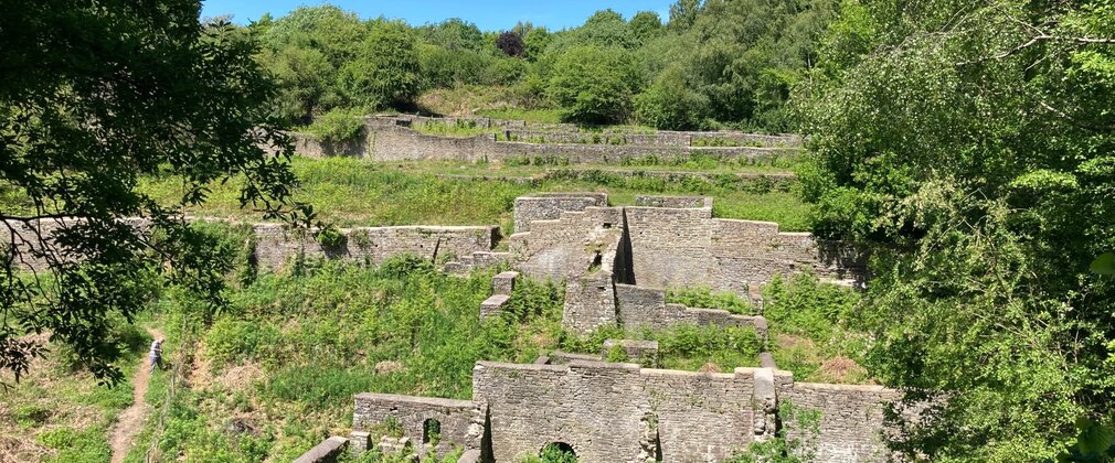 The remains of brick buildings among trees and grass.