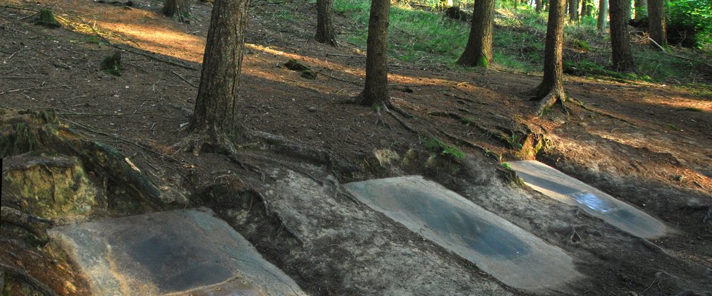 Tombs like stone on the forest floor