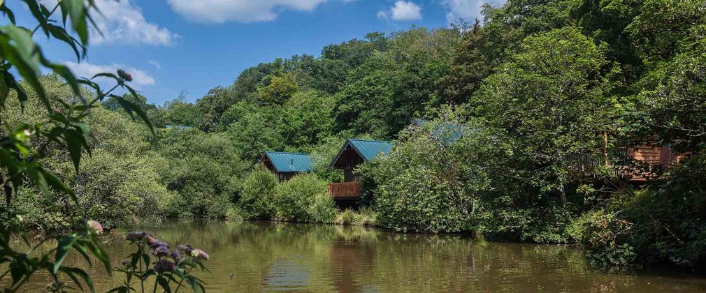 Forest Holidays at Deerpark, Cornwall