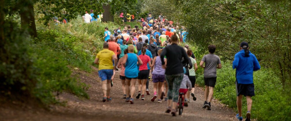 A group of runners moving together down a trail lined with green vegetation and trees