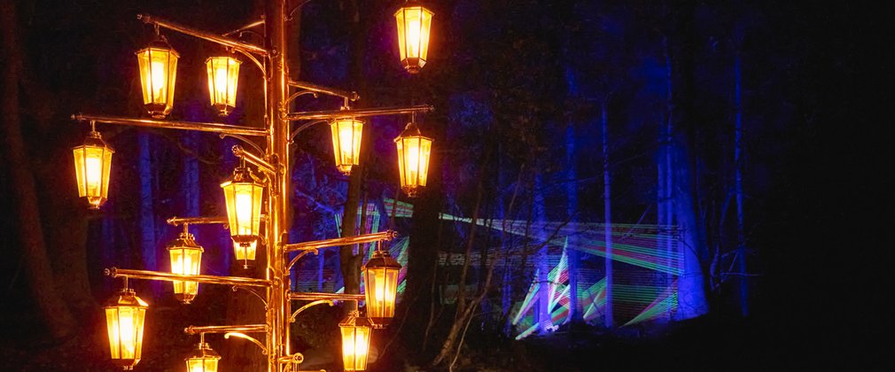 Festive lanterns light up the trail route at Delamere Forest