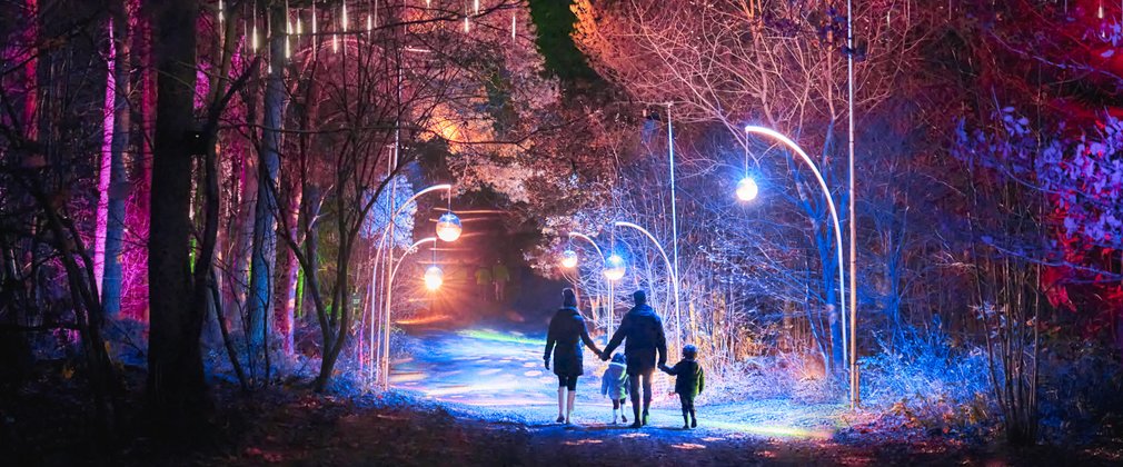 a family walk through an illuminated forest