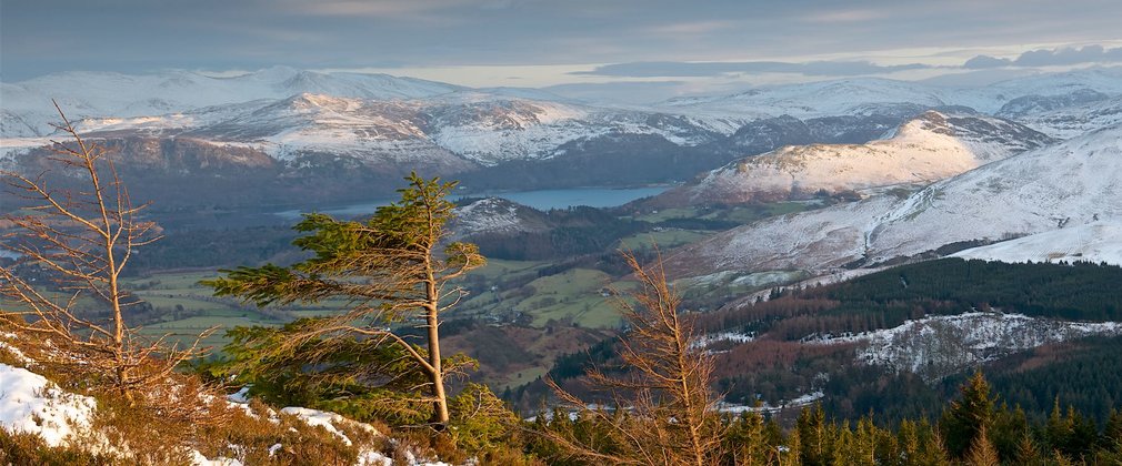 Derwent Water and the northern fells from Seat How, Whinlatter. Credit Steve Blake