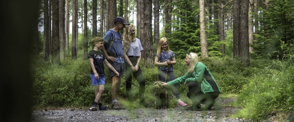 Group walking a dog in the forest