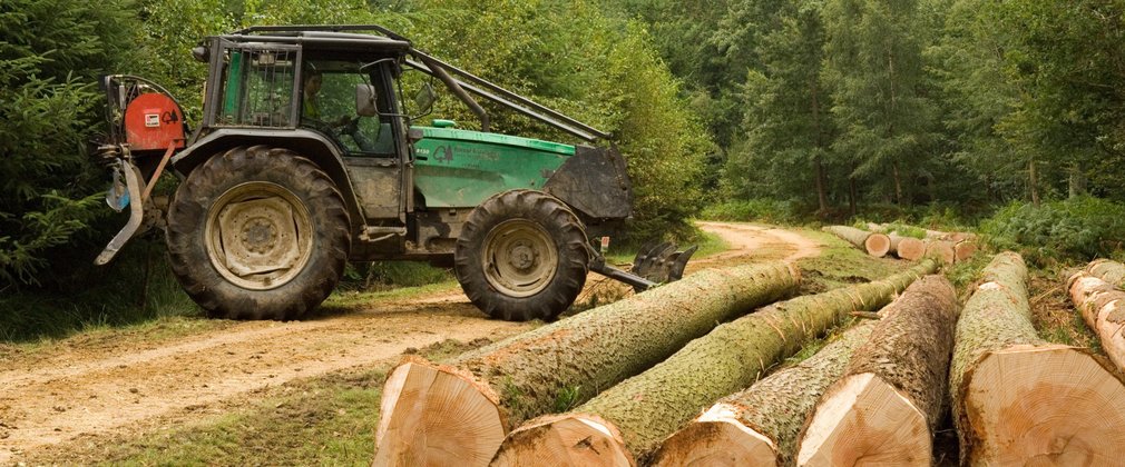 A green tractor on a forest road facing a pile of Douglas fir logs on the ground