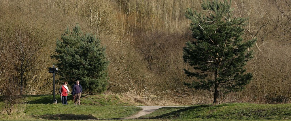 Manchester woodland, couple walking on path