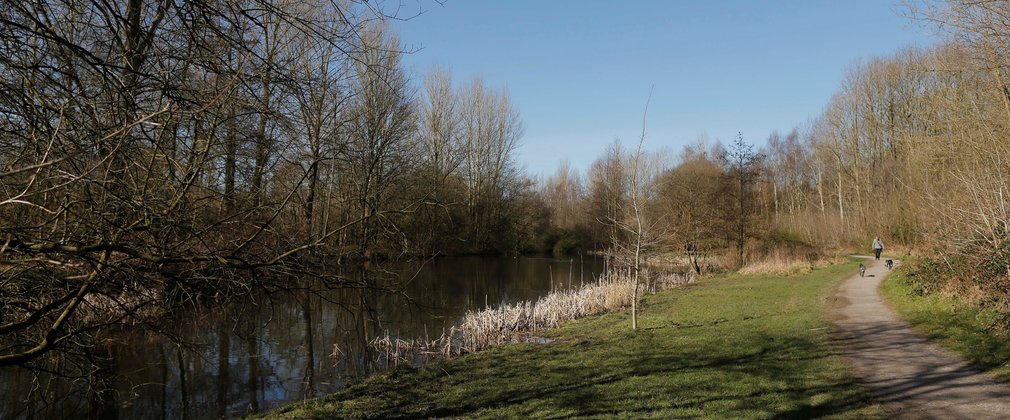 Lakeside path at Drinkwater Path