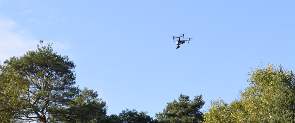 A drone flying through the forest