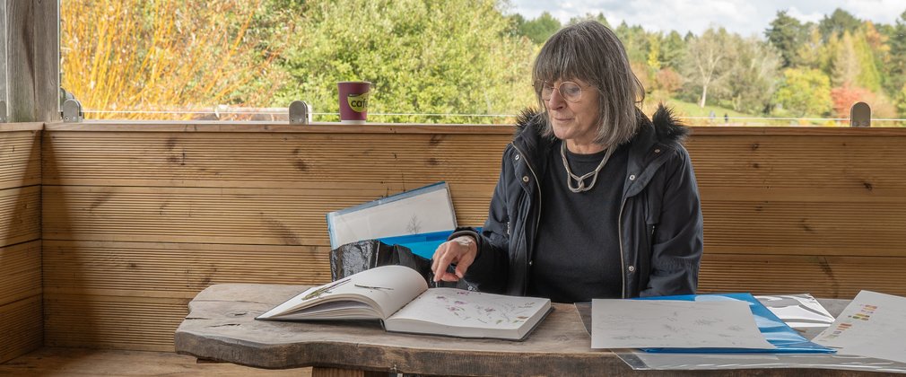 Pearl Bostock of The Bedgebury Pinetum Florilegium Society