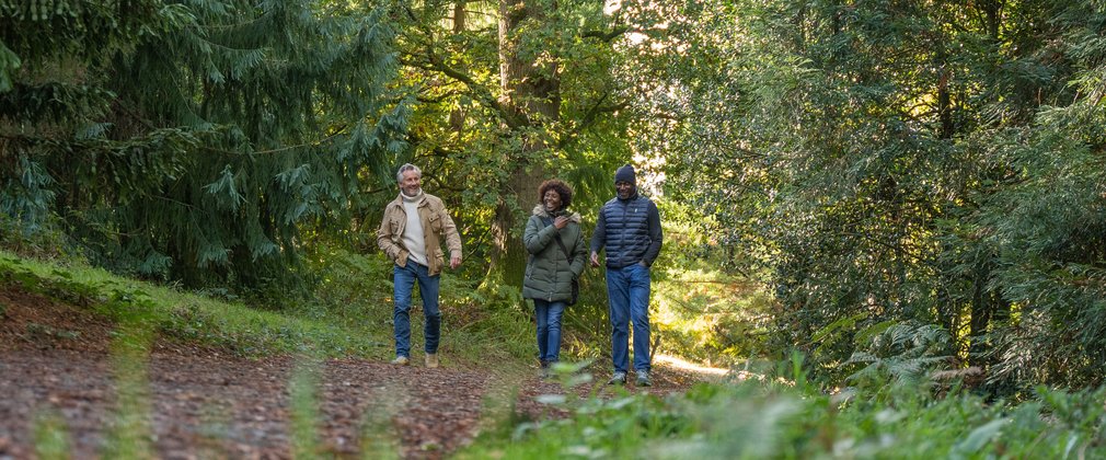 Three friends walk through the forest