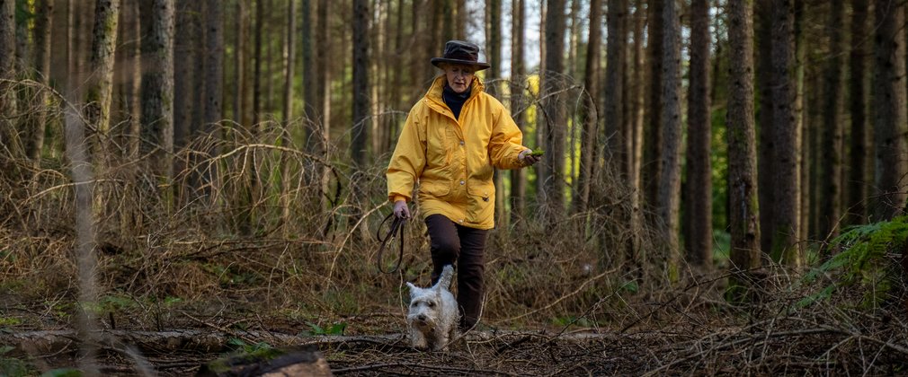 Woman walking dog in the forest 