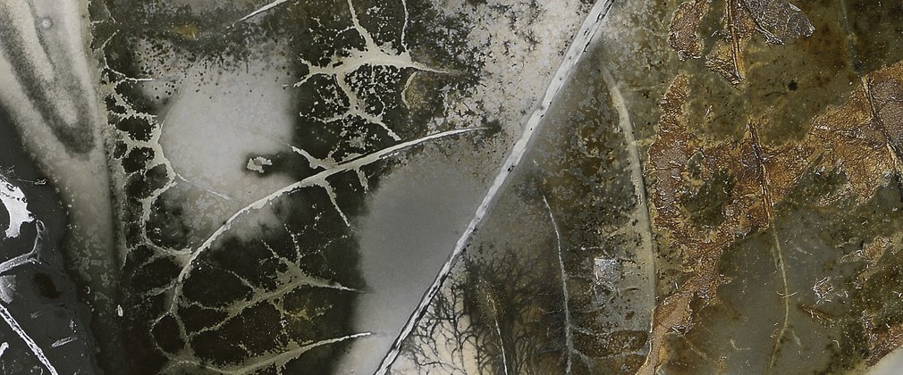Edward Bateman, Leaf No 30