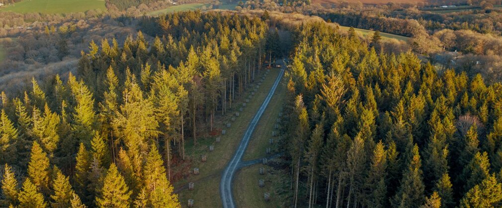 Aerial photo showing a paved avenue between stands of trees.