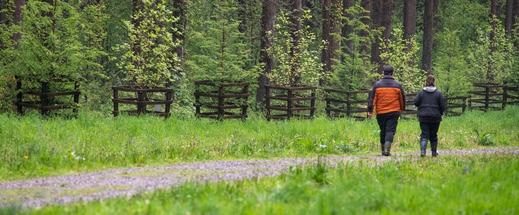 Two people, seen from behind, walking along a forest path.