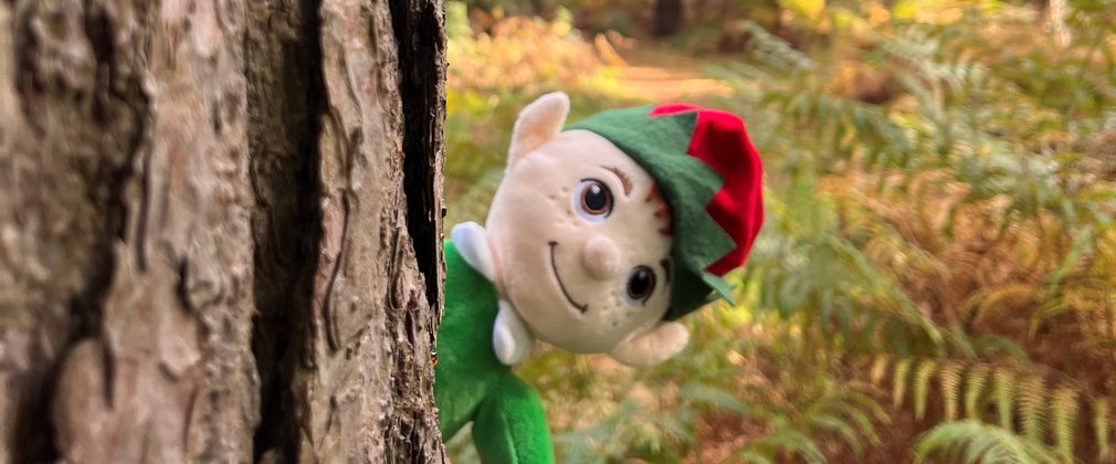 Elf hiding behind tree