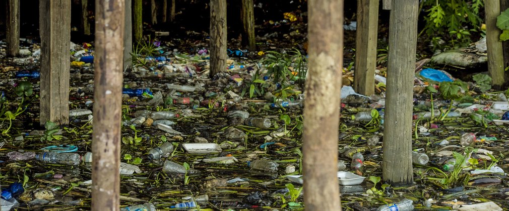 Plastic bottles floating among trees